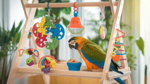découvrez une sélection de jouets interactifs spécialement conçus pour stimuler l'intelligence et le bien-être de votre perroquet. offrez-lui des moments de jeu enrichissants qui favoriseront son développement et sa joie de vivre.