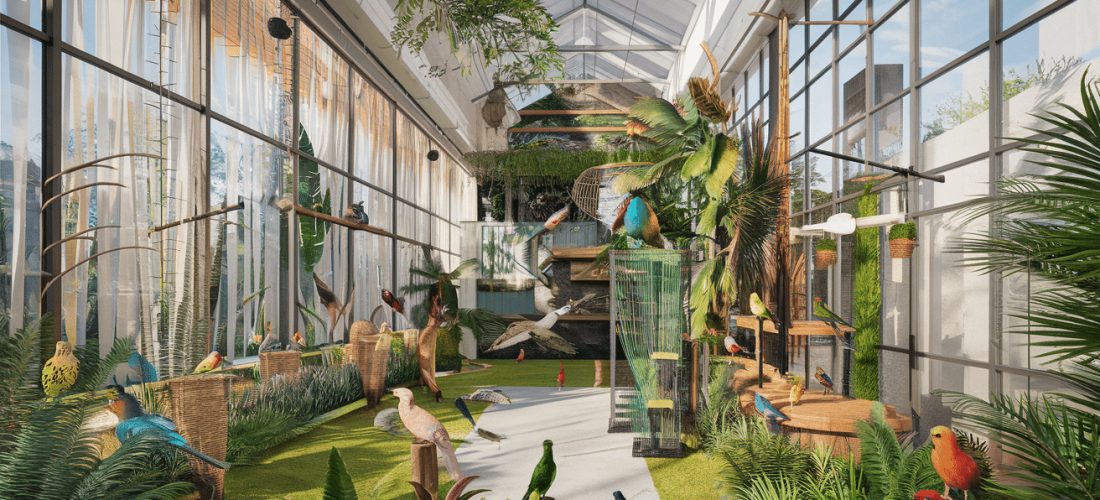 découvrez nos conseils et astuces pour aménager une volière intérieure idéale pour vos oiseaux. apprenez comment optimiser l'espace, choisir les meilleures plantes et équipements, et créer un environnement sûr et confortable pour vos compagnons à plumes.